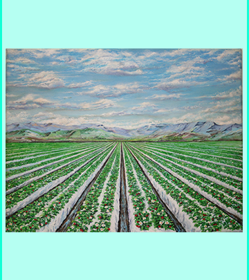 Strawberry Fields